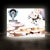 30in x 40in Standard SEG Glo Backlit Wall Display